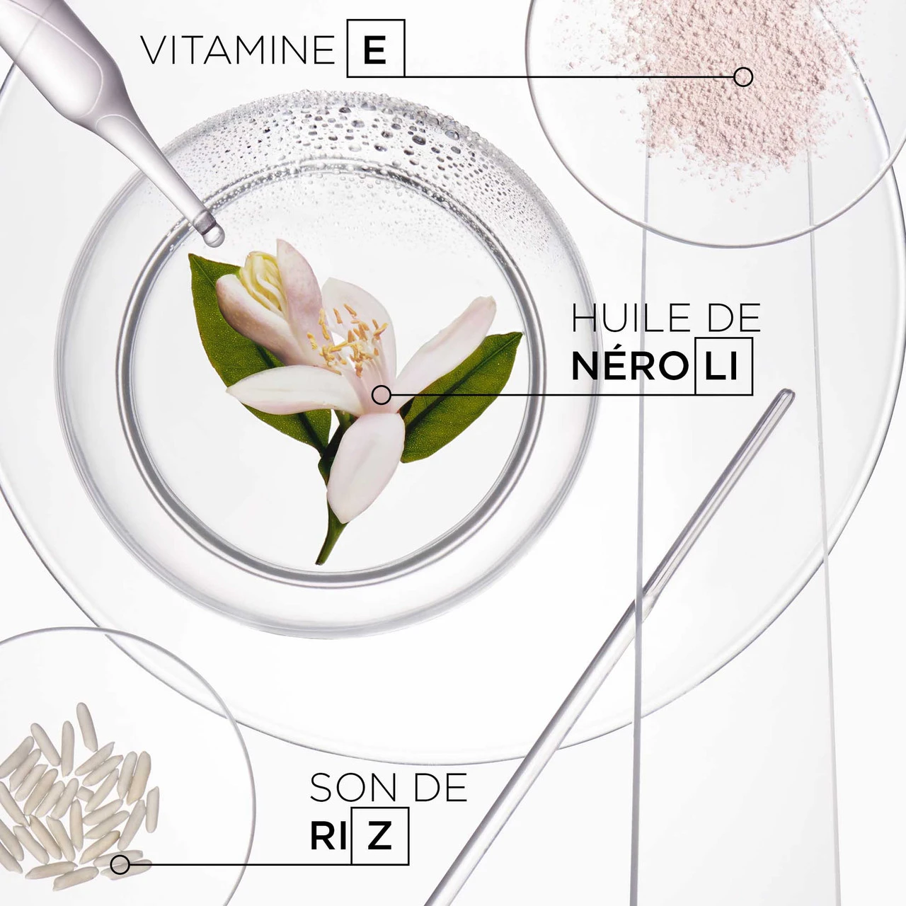 Kérastase Shampooing Sec Fresh Affair Kerastase 150g 6 Kérastase Shampooing Sec Fresh Affair Kerastase 150g – Image 4