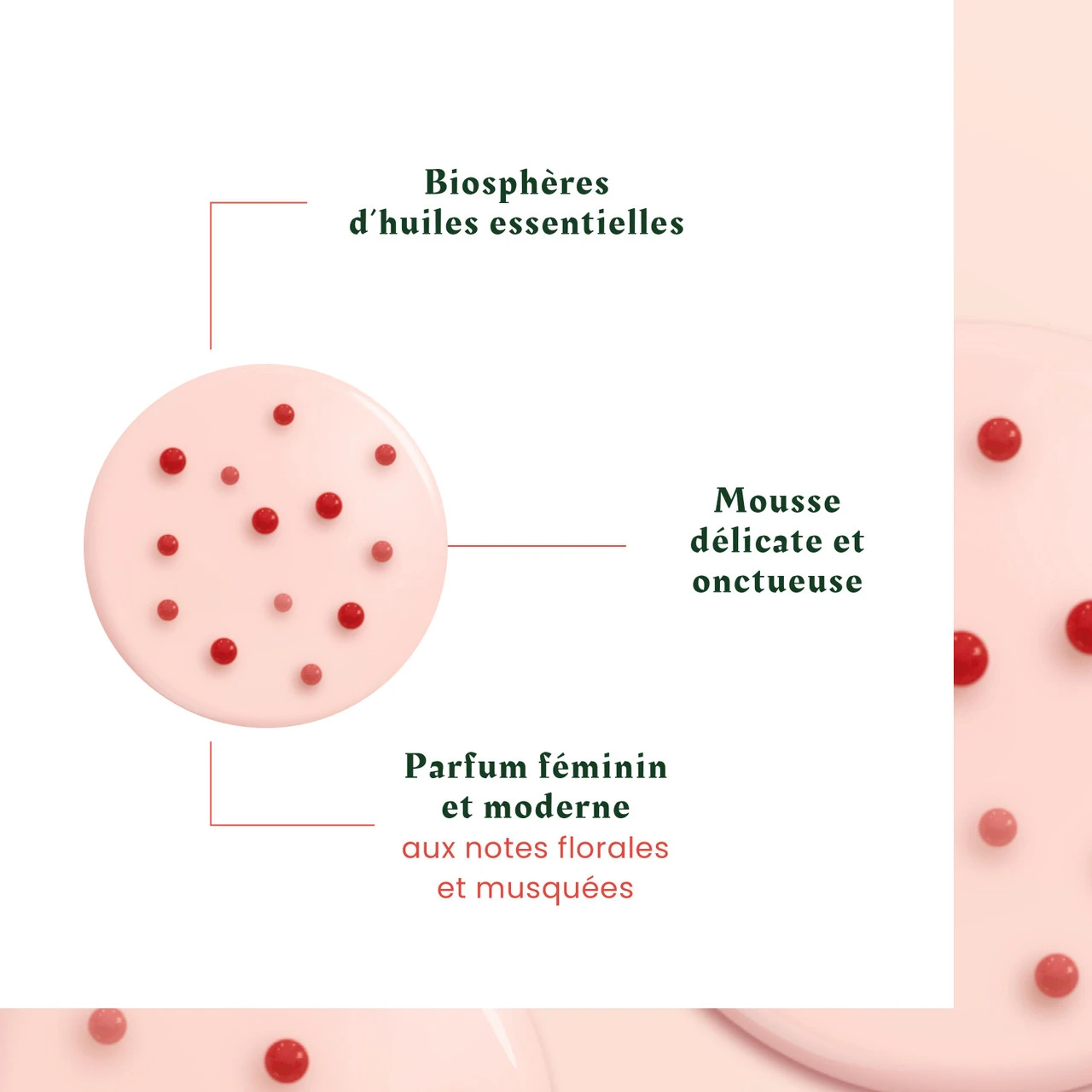 Shampooing Tonucia René Furterer 200ml 5 Shampooing Tonucia René Furterer 200ml – Image 3