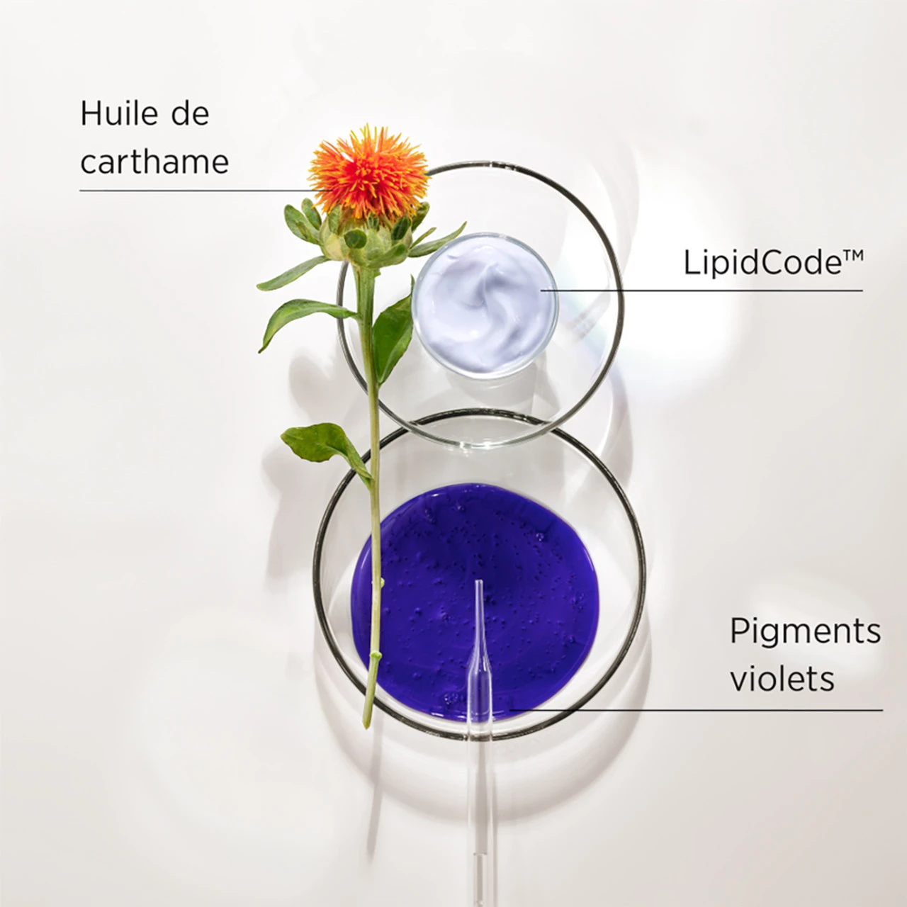 Shampooing LuxeBlond System Professional 250ml 4 Shampooing LuxeBlond System Professional 250ml – Image 2