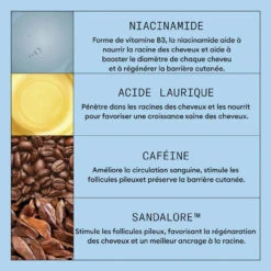 Shampooing Anti-Chute Au Sandalore Nioxin 240 Ml 8 Shampooing Anti-Chute Au Sandalore Nioxin 240 Ml -Hair Store shpantichute 3 05740.1730110145